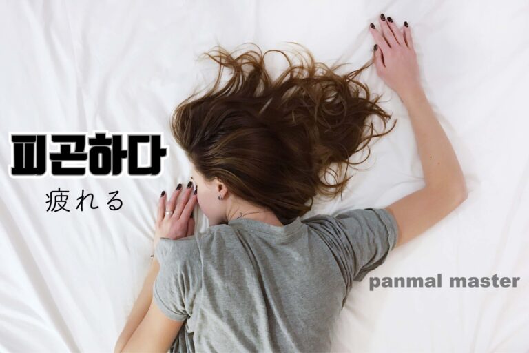 korean-tired-pigonhada