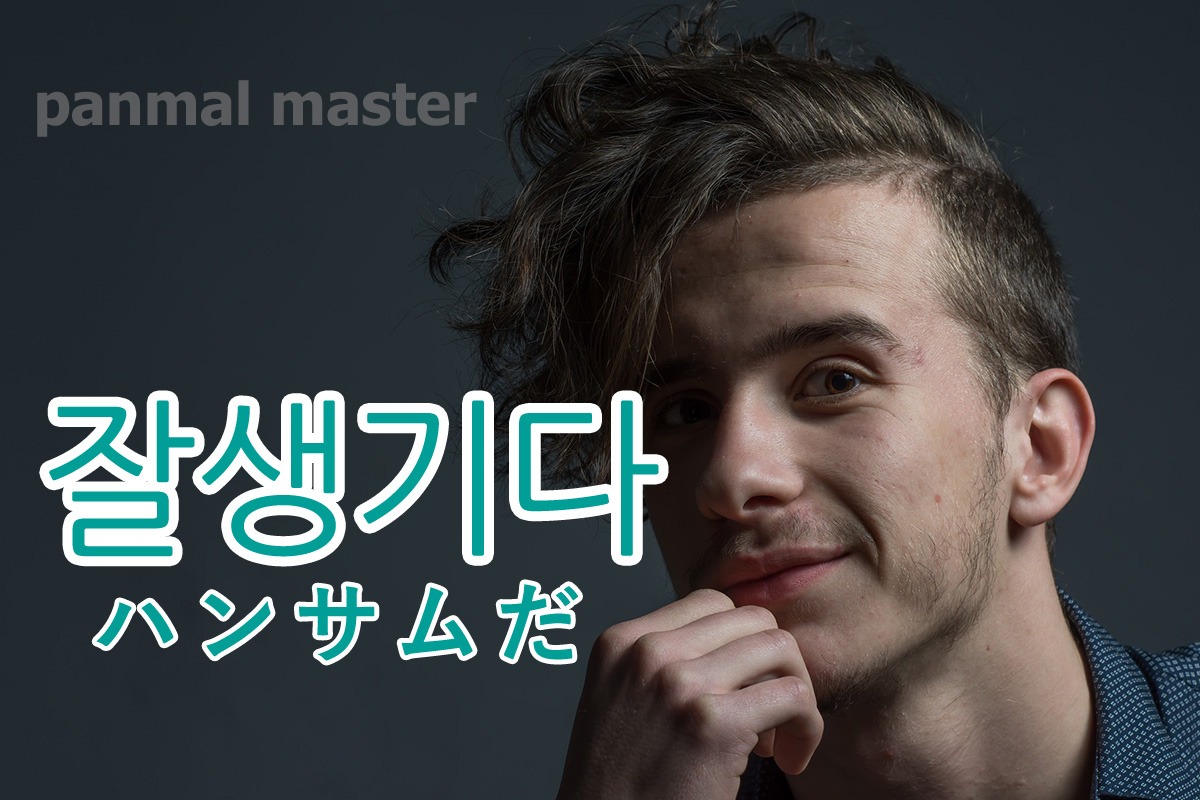 korean-handsome-jalsaenggida