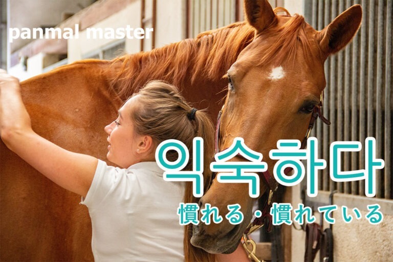 korean-be-used-to-igsughada