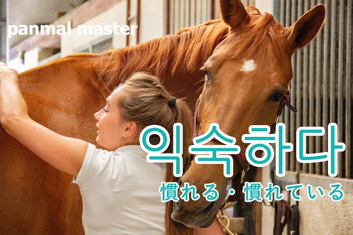 korean-be-used-to-igsughada