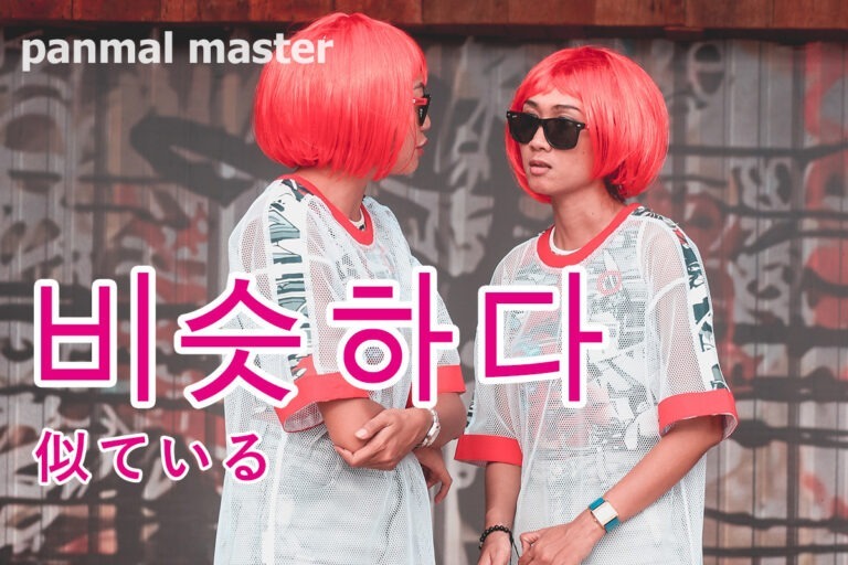 korean-similar-biseushada