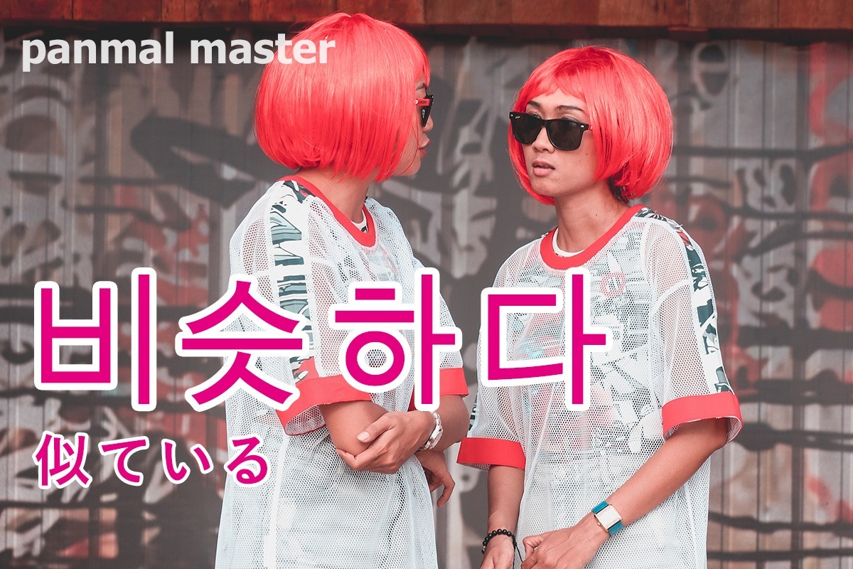 korean-similar-biseushada